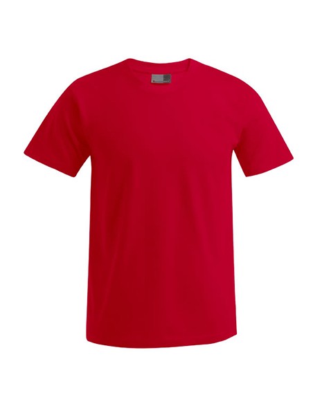 P-3000-3099--Mens Premium-T