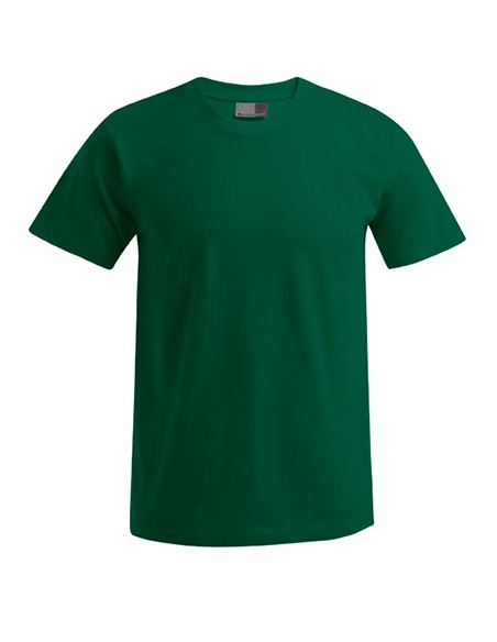 P-3000-3099--Mens Premium-T