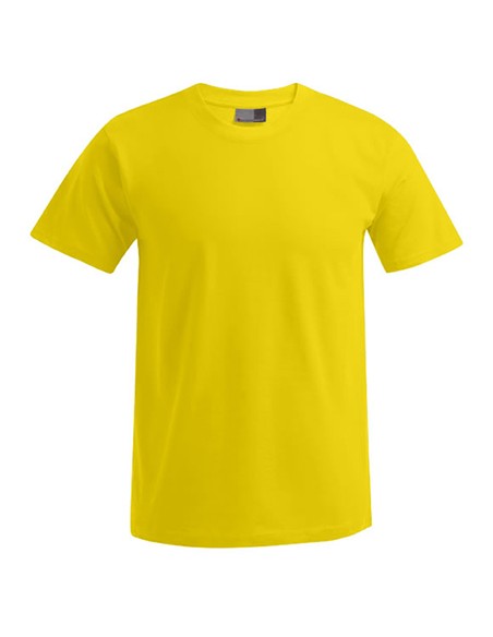 P-3000-3099--Mens Premium-T