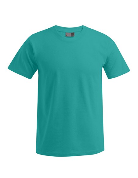 P-3000-3099--Mens Premium-T