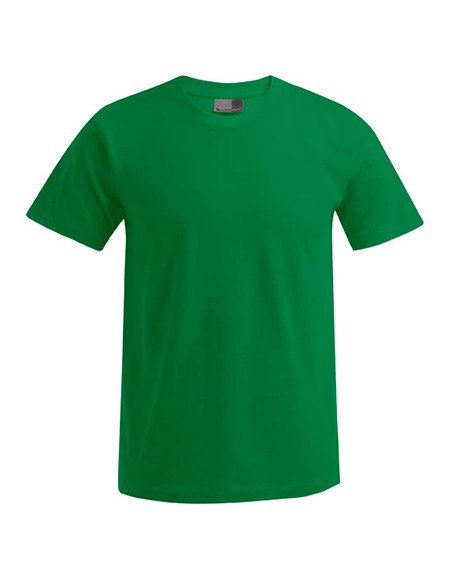 P-3000-3099--Mens Premium-T