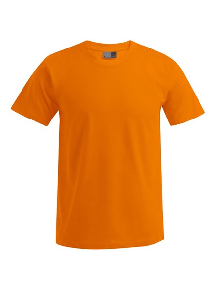 P-3000-3099--Mens Premium-T