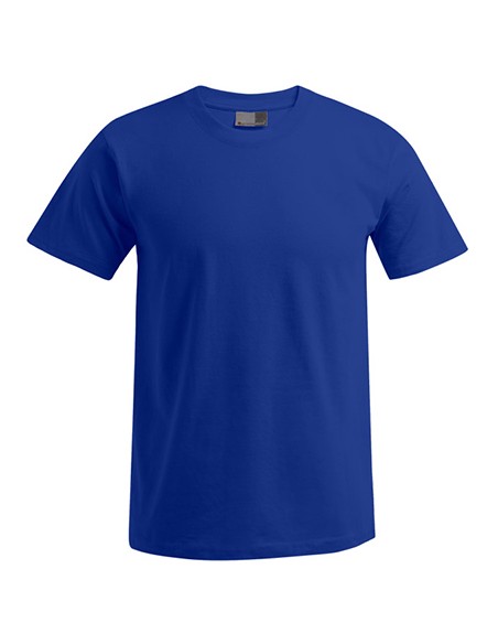 P-3000-3099--Mens Premium-T