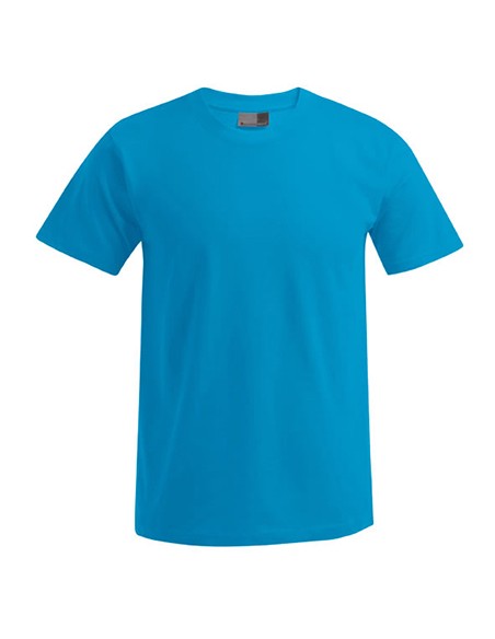 P-3000-3099--Mens Premium-T
