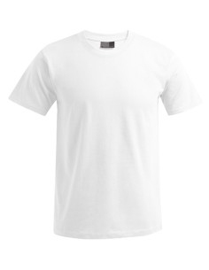 P-3000-3099--Mens Premium-T