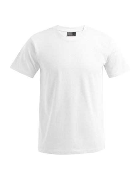 P-3000-3099--Mens Premium-T