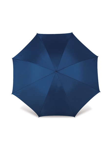 P-4087-Umbrella Dublin