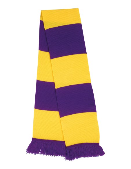 R-R146X-Team Scarf