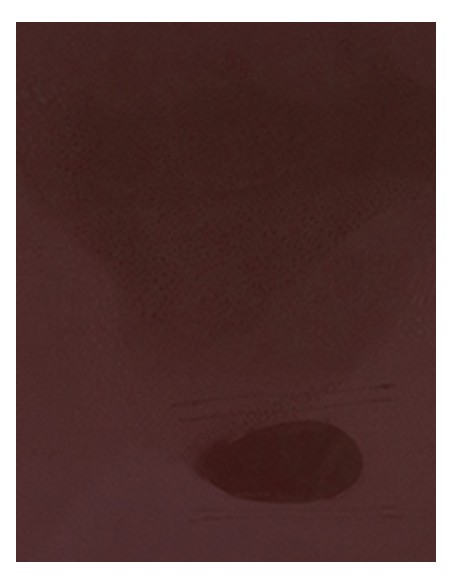 S-SA100-CAD-CUT® Premium Plus