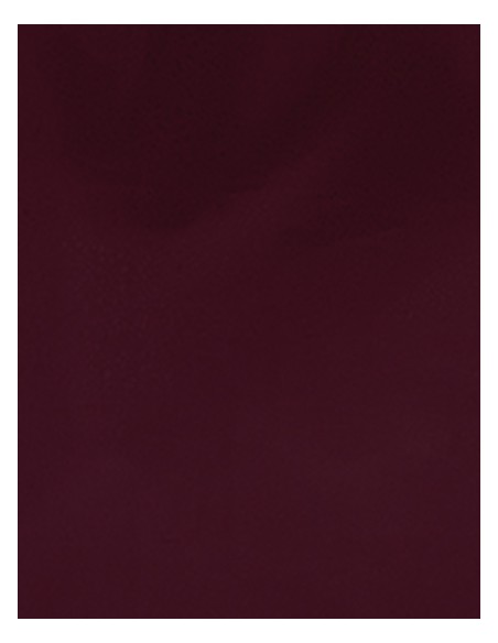 S-SA100-CAD-CUT® Premium Plus