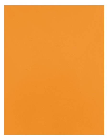 S-SA100-CAD-CUT® Premium Plus