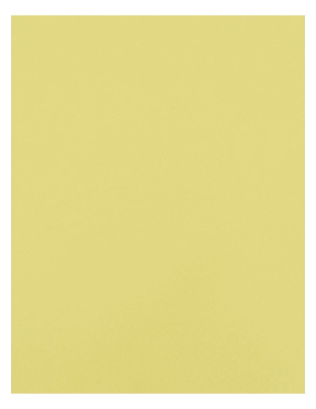 S-SA100-CAD-CUT® Premium Plus