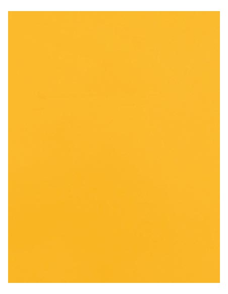 S-SA100-CAD-CUT® Premium Plus