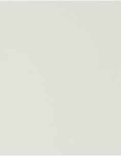 S-SA100-CAD-CUT® Premium Plus