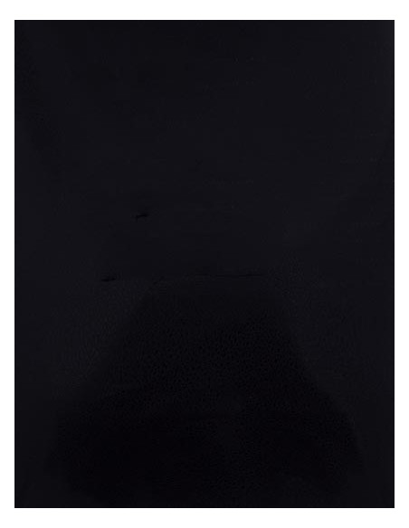 S-SA150-CAD-CUT® SportsFilm