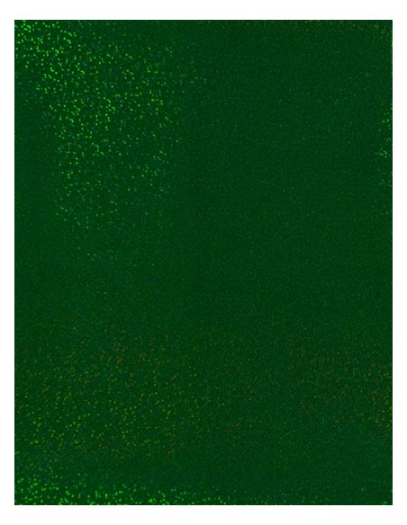 S-SA250-CAD-CUT® Hologram