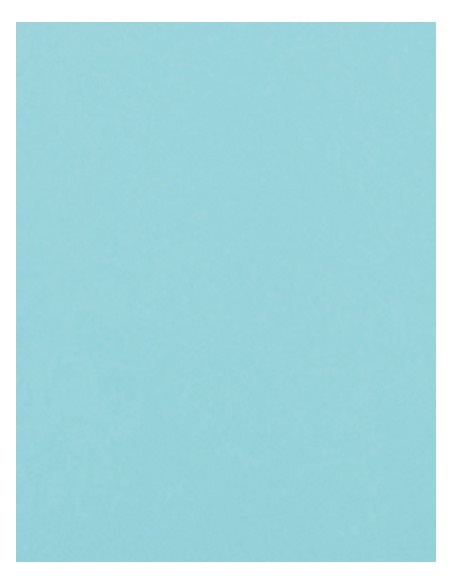 S-SA350-CAD-CUT® Flock