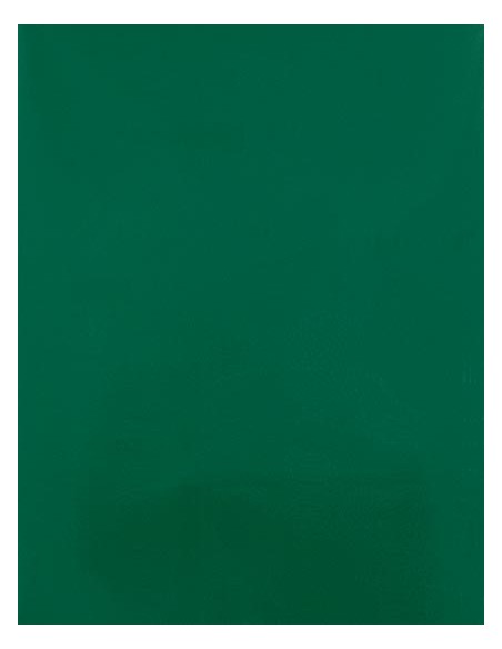 S-SA910-CAD-CUT® Silicone 100