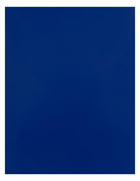 S-SA910-CAD-CUT® Silicone 100