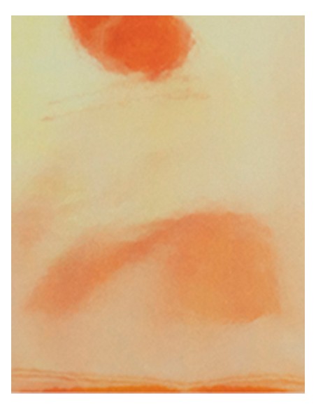 S-SA911-CAD-CUT® Disco