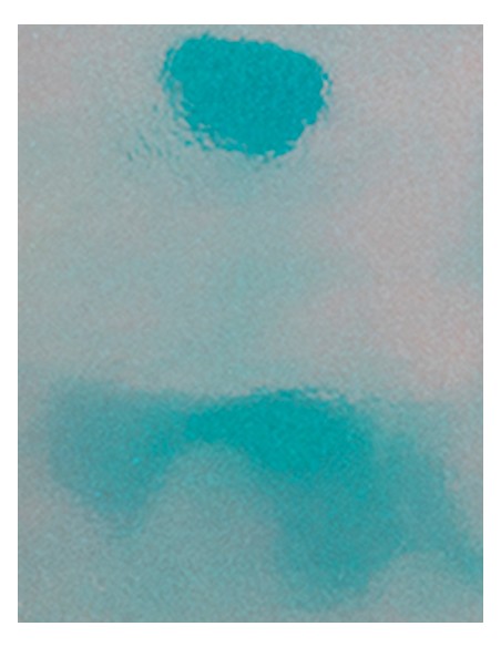 S-SA911-CAD-CUT® Disco