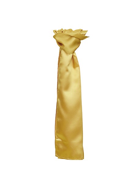 T-TT601-Satin Scarf