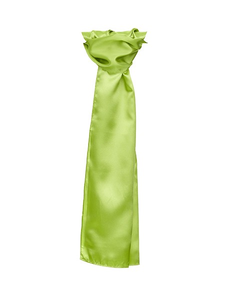 T-TT601-Satin Scarf