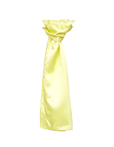 T-TT601-Satin Scarf