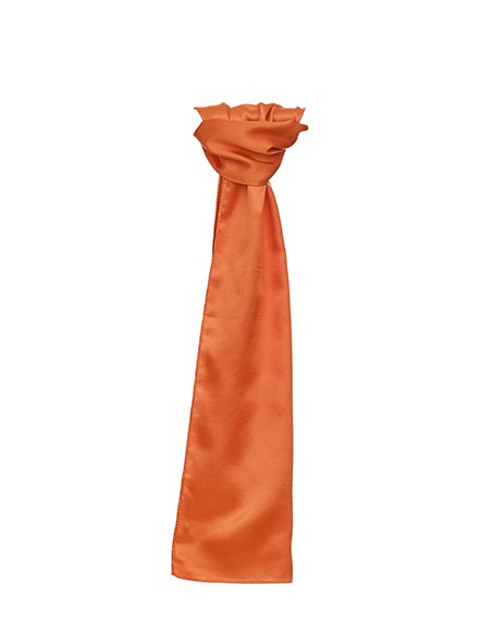 T-TT601-Satin Scarf