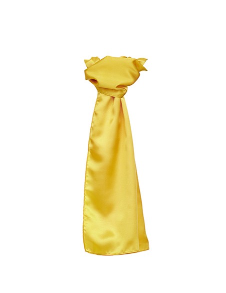 T-TT601-Satin Scarf