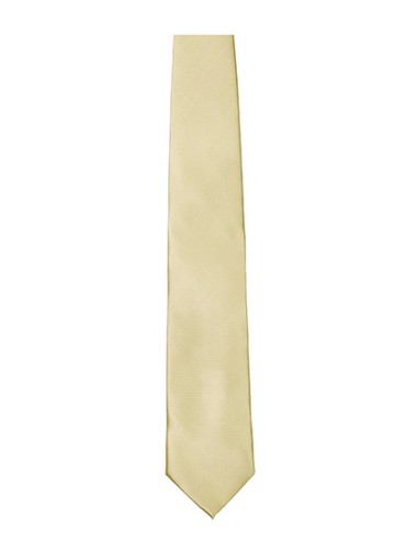 T-TT901-Satin Tie