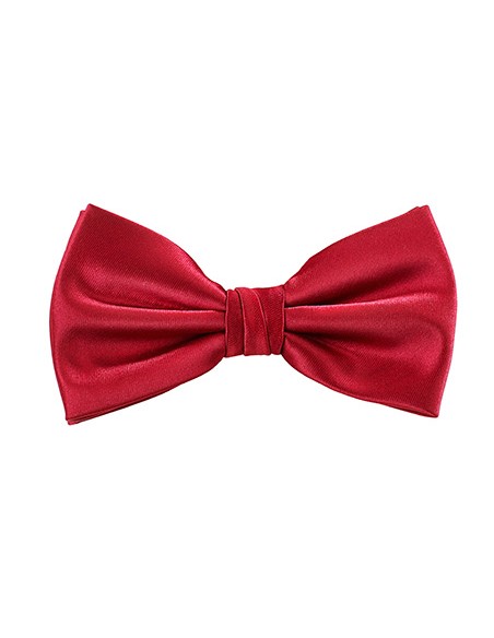 T-TT904-Satin Bow Tie