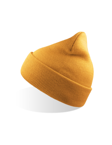 ATL-WINS-Wind Beanie Recycled
