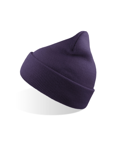 ATL-WINS-Wind Beanie Recycled